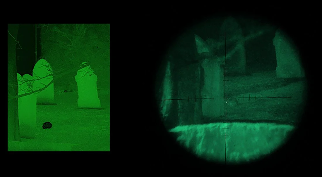 multispectral-4-mini.webp