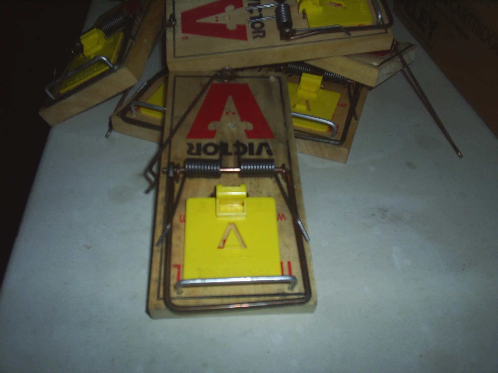 S4010021.webp