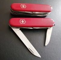 IMG_20230821_153825_edit_164504439292082.jpg IMG_20230821_153825_edit_164504439292082.jpg