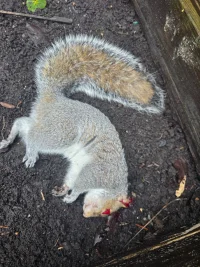 20260204_095641.jpg 20260204_095641.jpg