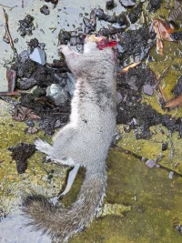 20260206_111519.jpg 20260206_111519.jpg