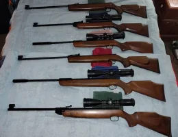 Beeman family 2.webp