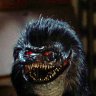 critter