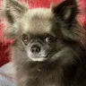 Teddy63